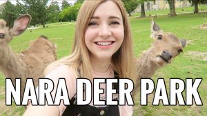 鹿『Youtubeの動画を撮ってるの?』海外『今回の動画の核心だよね!』(海外の反応)