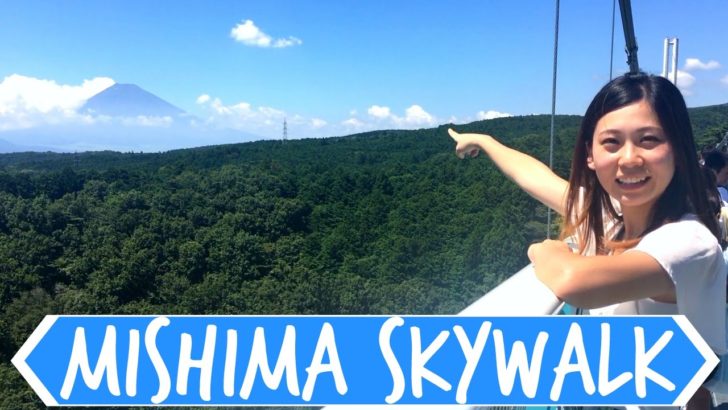 海外「富士山は噴火するの？」静岡県の全長400mの吊り橋に海外から様々な反応（海外の反応）