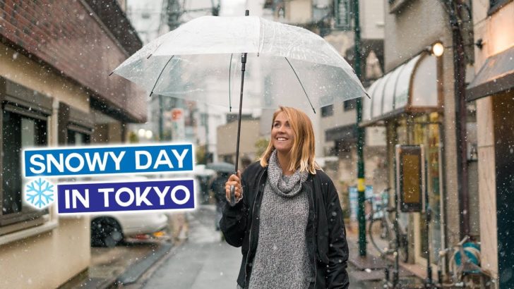 海外「あーーもう本当に日本に行きたい！！」東京の幻想的な雪景色に世界から羨望の声（海外の反応）