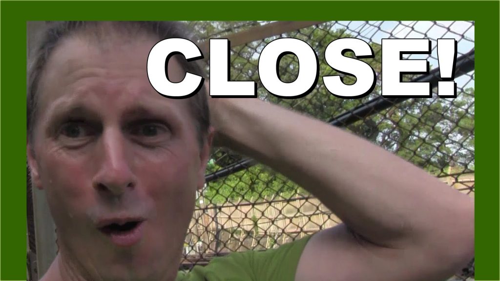 海外「アメリカだと鉄オタは職質される」新幹線が猛スピードで通過する光景が話題に（海外の反応）