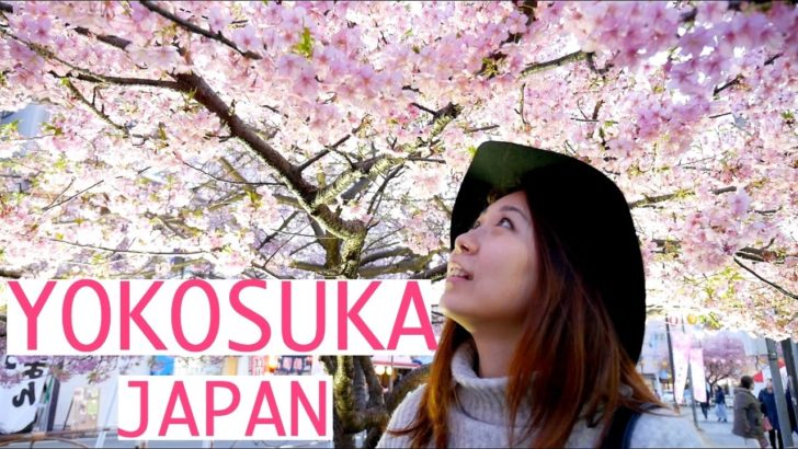 海外「日本人って列に並ぶの好きなの？」横須賀で食や桜を堪能（海外の反応）