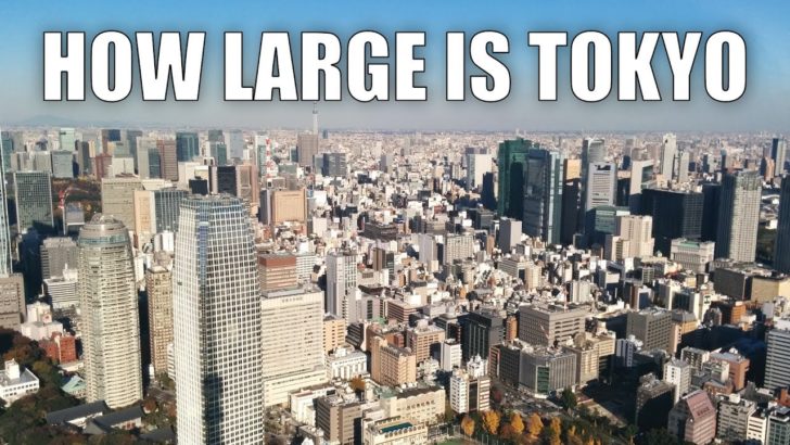 海外「東京は世界最大の都市と呼ばれているけど、どのくらい大きいの？」（海外の反応）