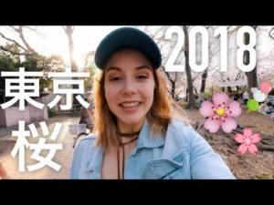 海外「桜の季節は日本で最も美しい季節の一つ！素晴らしき日本の風景！」（海外の反応）