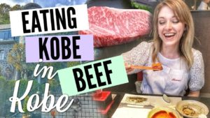 海外「初の神戸牛!超美味しい!値段通りの美味しさ!」「神戸がこんな良い所って知らなかった」(海外の反応)