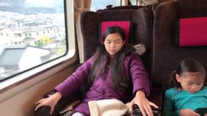 海外「日本中をグリーン車で旅してみた。とても価値のある体験だった」（海外の反応）