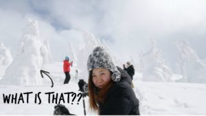 海外「まるでゴジラだ!信じられない!」秋田県の樹氷を紹介した動画に反響(海外の反応)