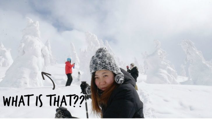 海外「まるでゴジラだ！信じられない！」秋田県の樹氷を紹介した動画に反響（海外の反応）