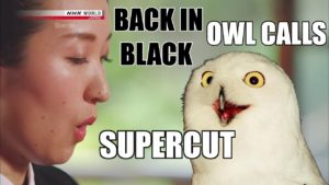 海外「最高だな!」和楽器とロックとフクロウの最高のコラボ(海外の反応)