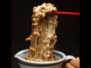 海外「邦正のカメラ目線はガキ使史上最高の瞬間だ！」ガキ使のきき納豆に外国人も爆笑（海外の反応）