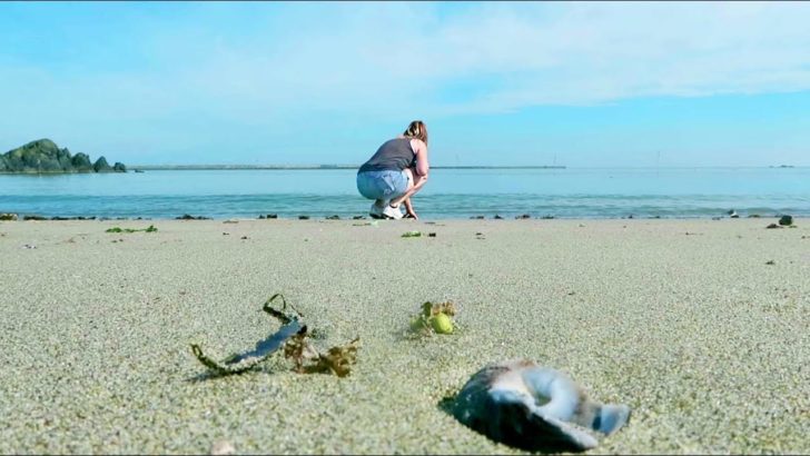 海外「青森に行って青森大好きになった！すごく綺麗！」（海外の反応）
