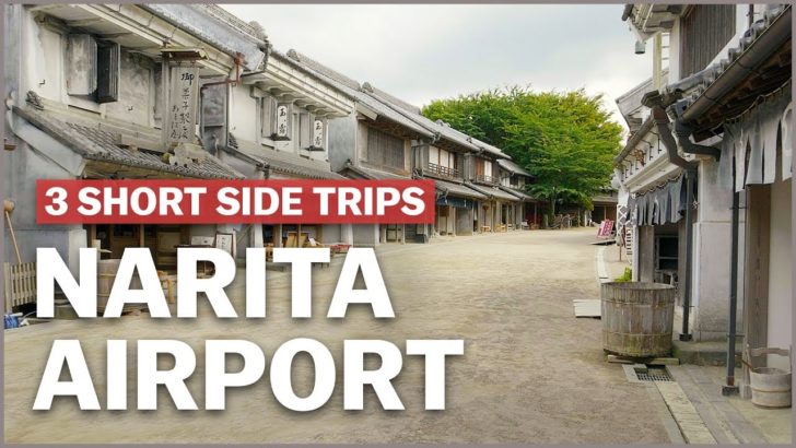 海外「成田空港の周りに観光スポットが沢山あるなんて考えもしなかった」成田空港のツアープログラムに反響（海外の反応）