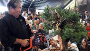 海外「盆栽は好きだがこの動画は本当にひどいな」盆栽界の巨匠小林國雄さんによる公開剪定に様々な声(海外の反応)