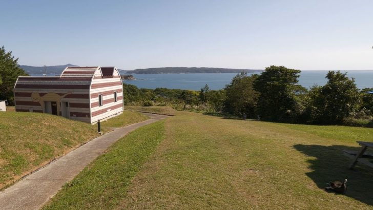 海外「日本と猫！好きなものが全てつまった島！」猫島として知られる宮城県田代島を散歩（海外の反応）
