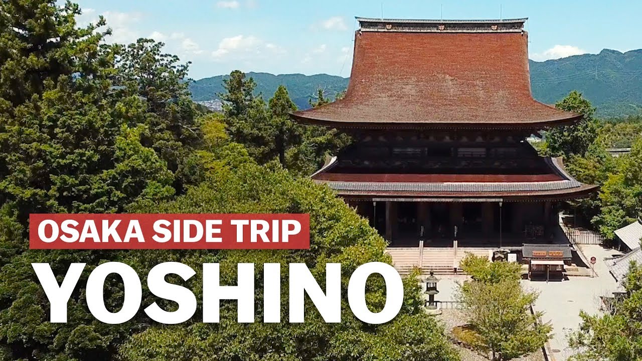 海外「魔法みたいに素晴らしい」奈良県吉野町の観光スポットを紹介した動画に反響（海外の反応）