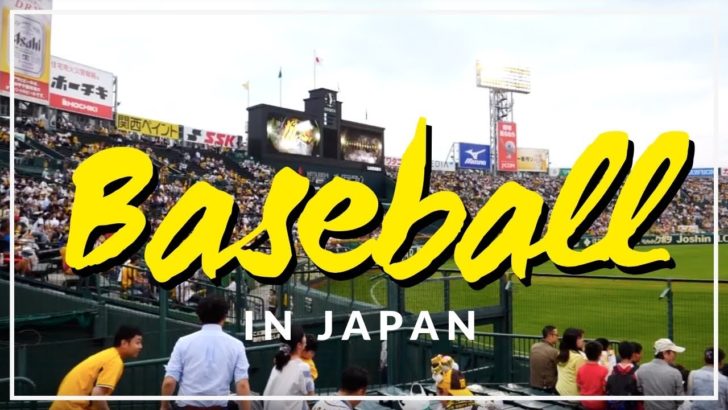 海外「日本ではプロ野球の試合を生で見たい」外国人が甲子園球場でプロ野球観戦（海外の反応）