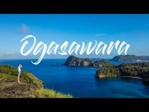 海外「小笠原諸島は東京でも最高の場所のようだね。長時間の航海の価値はあるよ」(海外の反応)