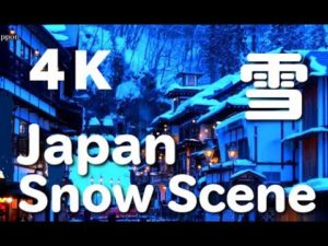 海外「日本の冬はとてもミステリアス!なんて美しい雪景色!」(海外の反応)