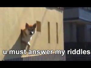 海外「柴犬が穴から飛び出してきた瞬間吹いた！」