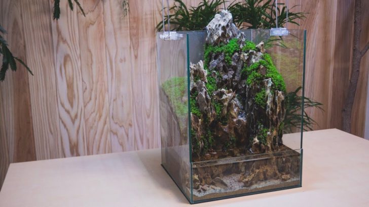 海外「素晴らしい！癒される！」日本人が作るアクアテラリウムに反響（海外の反応）