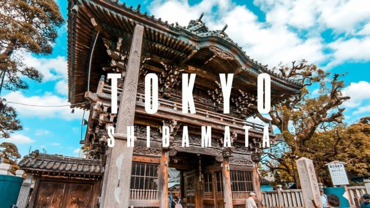 海外「柴又は本当にいいところだ」東京の葛飾区柴又の街並みを撮影した動画が話題に（海外の反応）