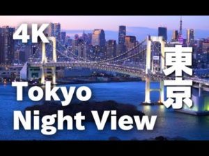 海外「東京は未来都市で、世界で一番超近代化した街だね」東京の夜景に反響(海外の反応)