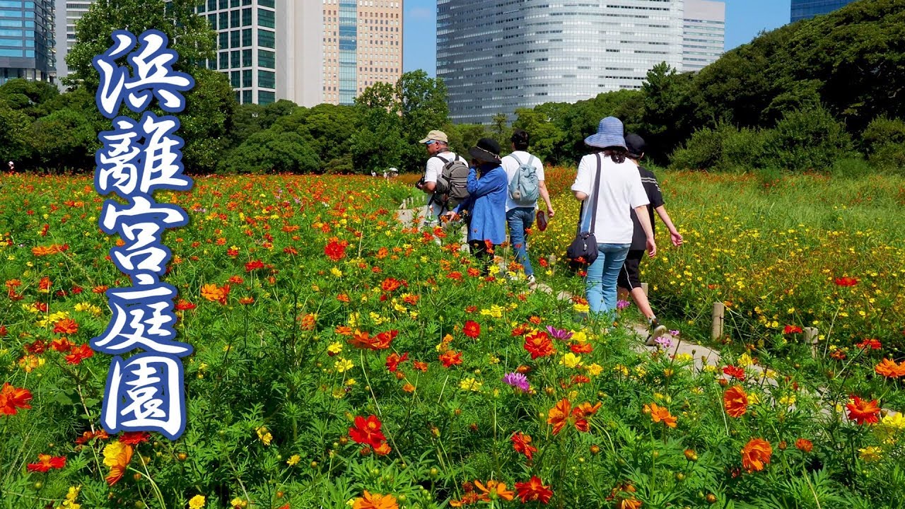 海外「東京にもきれいな庭園があるんだね！巨大都市なのにすごい！」東京の浜離宮恩賜庭園の動画が話題に（海外の反応）