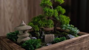 アクアテラリウムで日本庭園を造る日本人の才能が凄すぎると話題に（海外の反応）