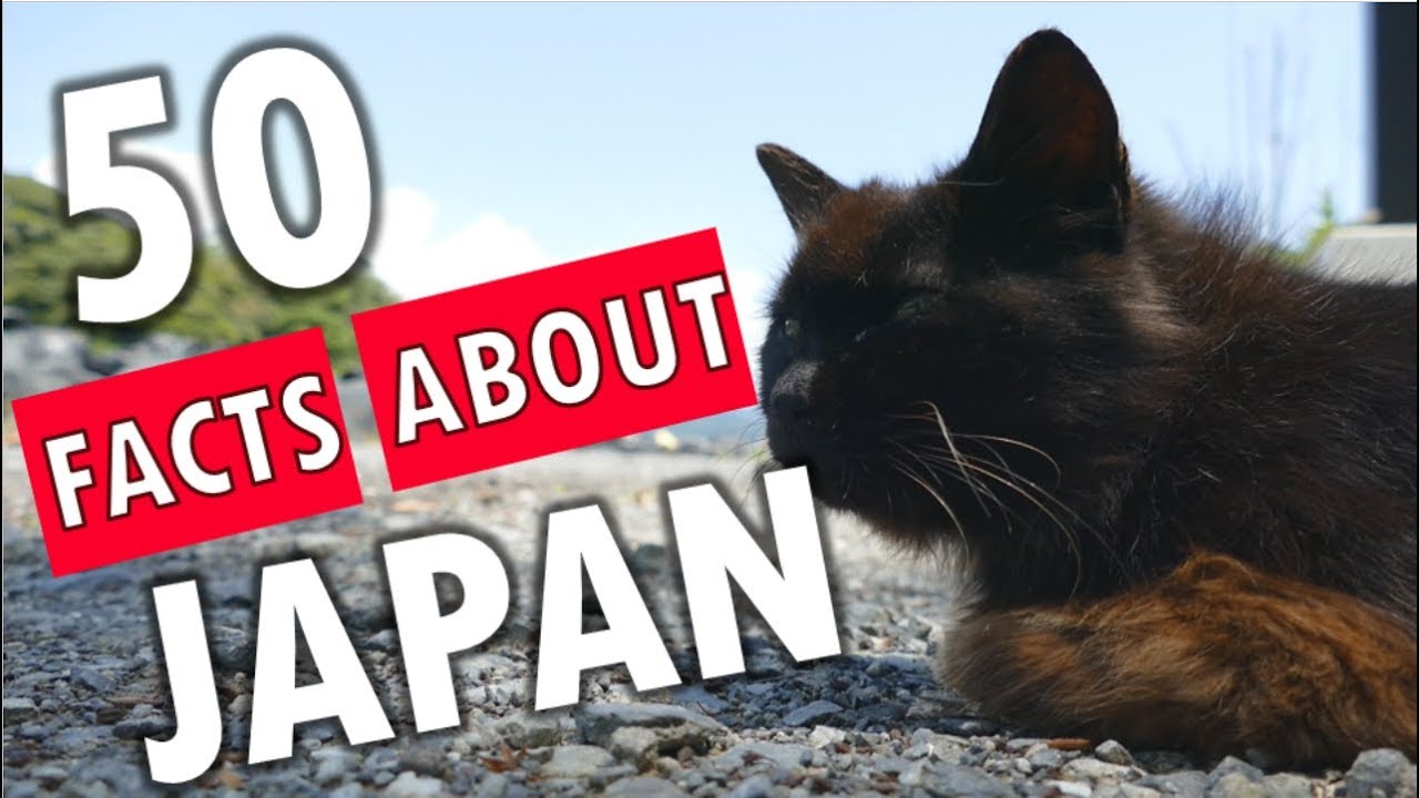 海外「日本では古い家は価値がマイナスになっちゃうの!?」日本に関する50の事実が話題に（海外の反応）