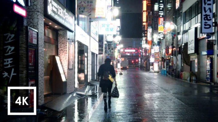 海外「地震。津波。台風。日本に安らぎはあるのか？」台風が直撃している時の東京の街の様子（海外の反応）