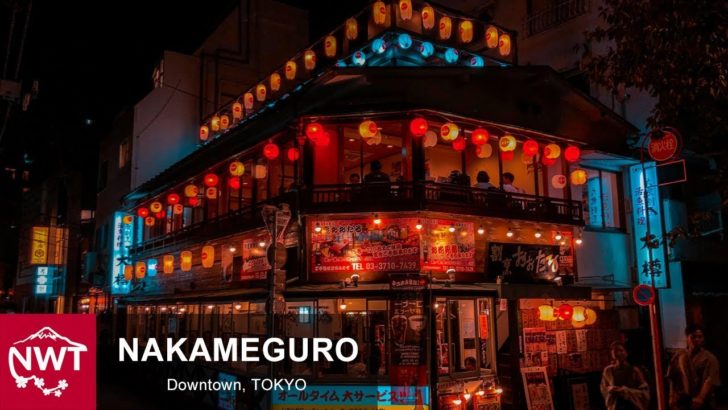 海外「中目黒がこんなに綺麗だなんて知らなかった」中目黒の街を撮影した動画が話題に（海外の反応）