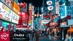 海外「大阪に行ったことがあるけど、道頓堀の散策は本当に楽しかったよ」夜の道頓堀を撮影した動画が話題に（海外の反応）