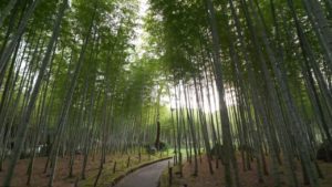 海外「別府大好きなんだ!」大分県の別府駅周辺を散策する動画に反響(海外の反応)