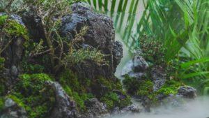 渓谷を作る日本人の技術が凄すぎると話題に(海外の反応)