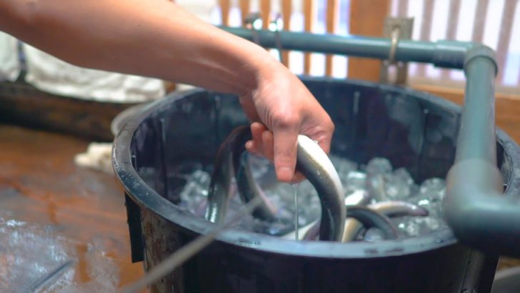 外国人「くそっ。この動画のせいで腹減った」うなぎ料理の老舗の職人技に反響（海外の反応）