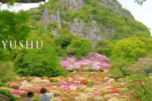 海外「日本の春の美しさ！これは天国への道！」九州の公園の花まつりを撮影した動画に反響（海外の反応）