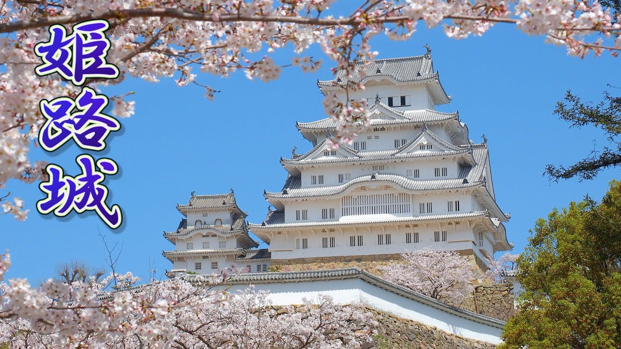 海外「なんて完璧な組み合わせ」姫路城の満開の桜を撮影した動画が話題に（海外の反応）