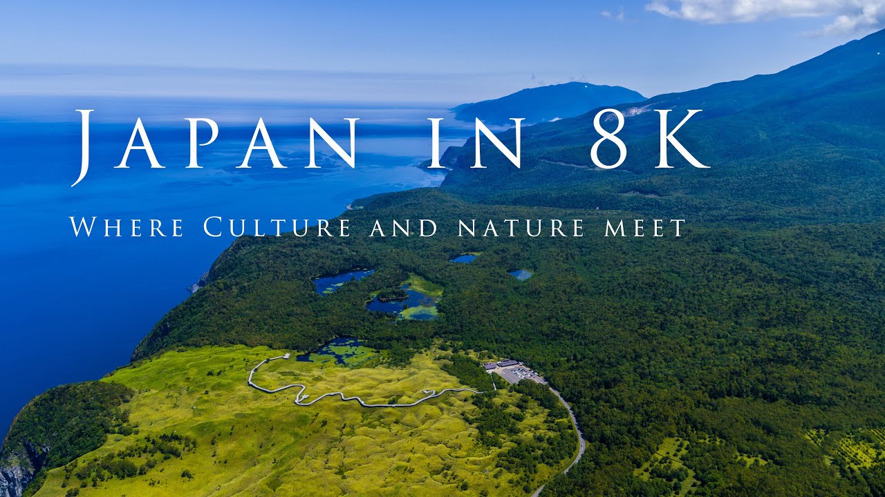 海外「日本に住んでる人がうらやましい」日本の自然や文化を撮影した8K動画が話題に（海外の反応）